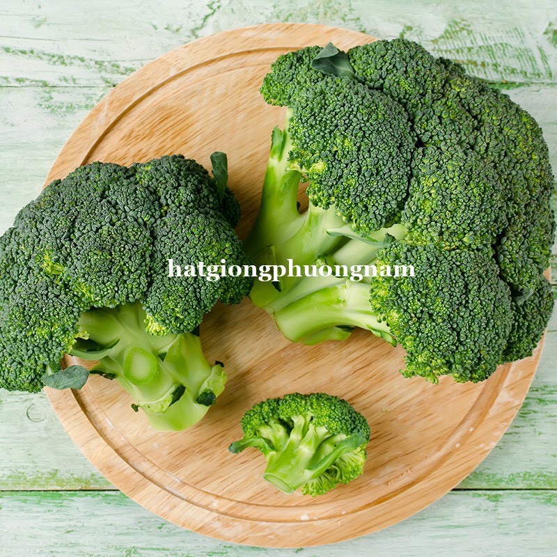HẠT GIỐNG SÚP LƠ XANH