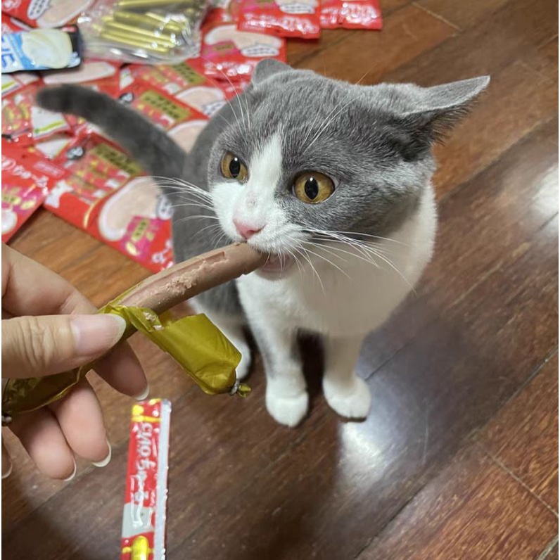 [Mã PET50K giảm Giảm 10% - Tối đa 50K đơn từ 250K]  Xúc Xích Cho Cún Mèo