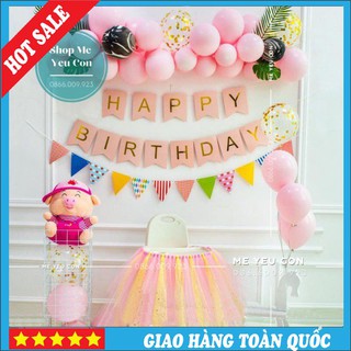 Trang Trí Sinh Nhật Thôi Nôi Bé Tuổi Heo, Sinh Nhật Bé Trai Bé Gái