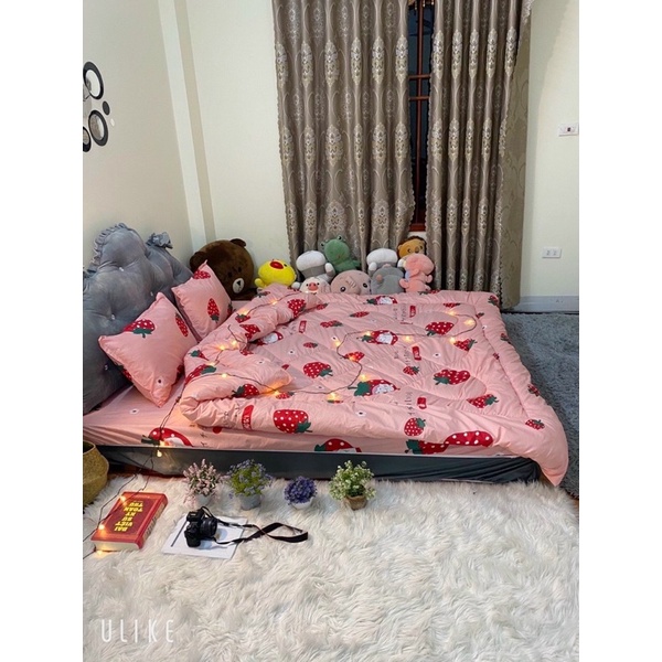Trọn bộ 5 món Poly set hè và set phao- mẫu dâu Nhật