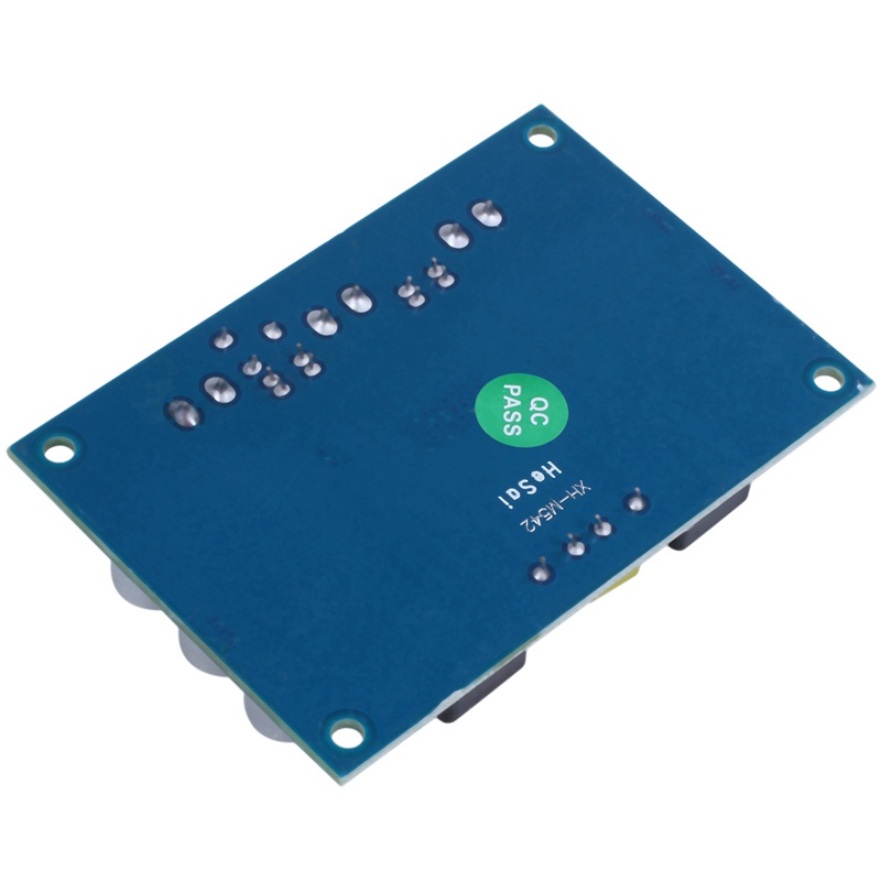 Bảng Mạch Khuếch Đại Âm Thanh Bluetooth Kỹ Thuật Số Kênh Đơn DC 12V-24V TPA3116 D2 100W