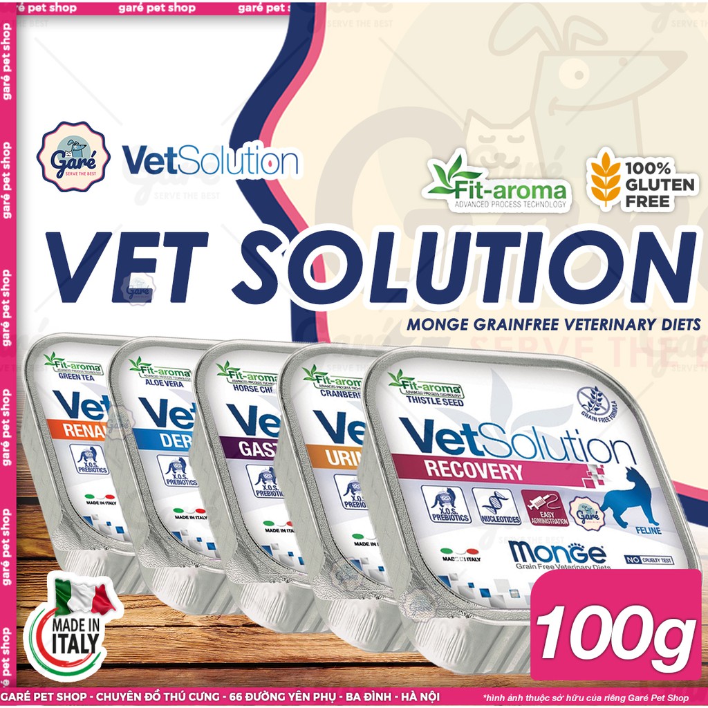 100g - Pate hỗ trợ phục hồi Monge Vet Solution dành cho Mèo - Monge Vet Solution for Cats