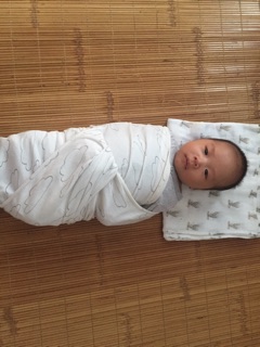 Quấn chũn cocoon