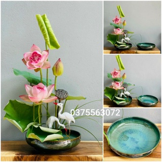 Ang cắm hoa nghệ thuật, bát thả hoa phi 30 men hỏa biến. Tặng đôi cò decor