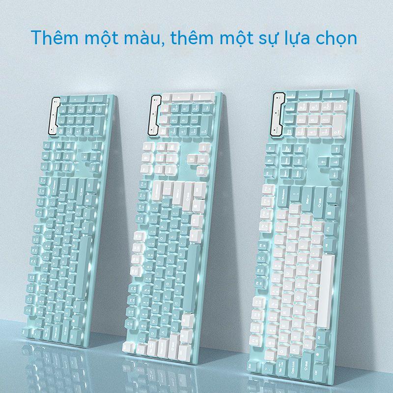 Bộ Bàn Phím Cơ Và Chuột Chơi Game Có Dây Không Gây Tiếng Ồn Cho Máy Tính