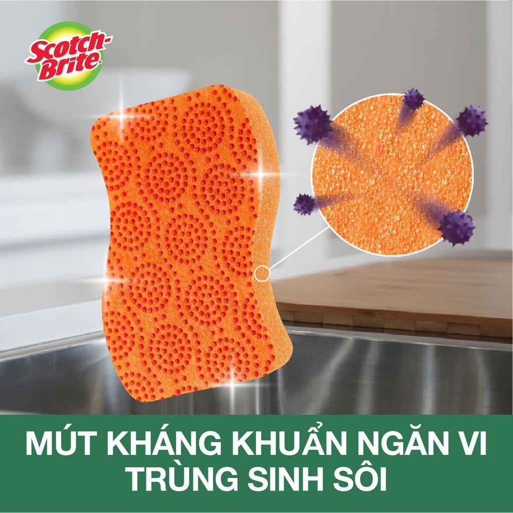 Bộ 6 món vệ sinh nhà cửa toàn diện 3M Scotch-Brite CB-TD1