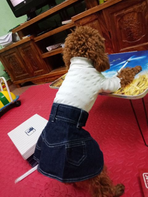 Chân váy bò cho cún