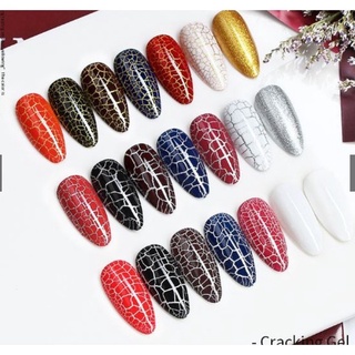 Sơn gel as mã cr - sơn nứt as 15ml