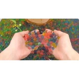 HẠT NỞ TÚI 200V