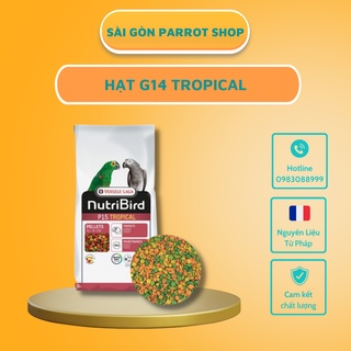 Hạt g14 tropical, thức an cho chim, vẹt nhỏ