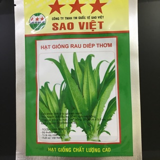 Hạt giống rau diếp thơm