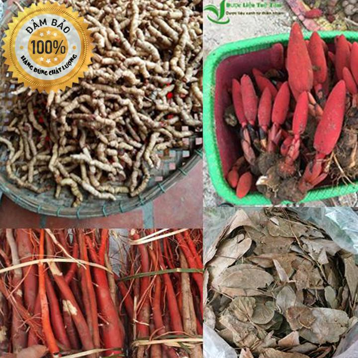 COMBO 4 MÓN nấm ngọc cẩu 250G, ba kích tím 250G, dâm dương hoắc 200G, sâm cau đỏ 300G