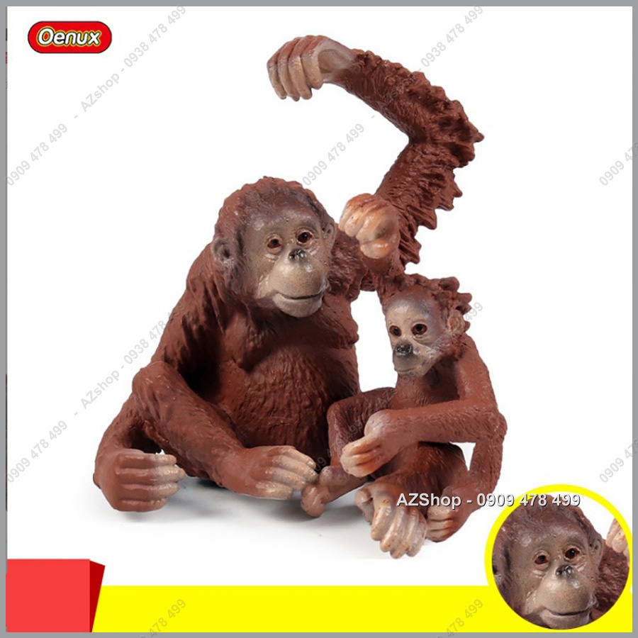 Mô Hình Đười Ươi - 7669