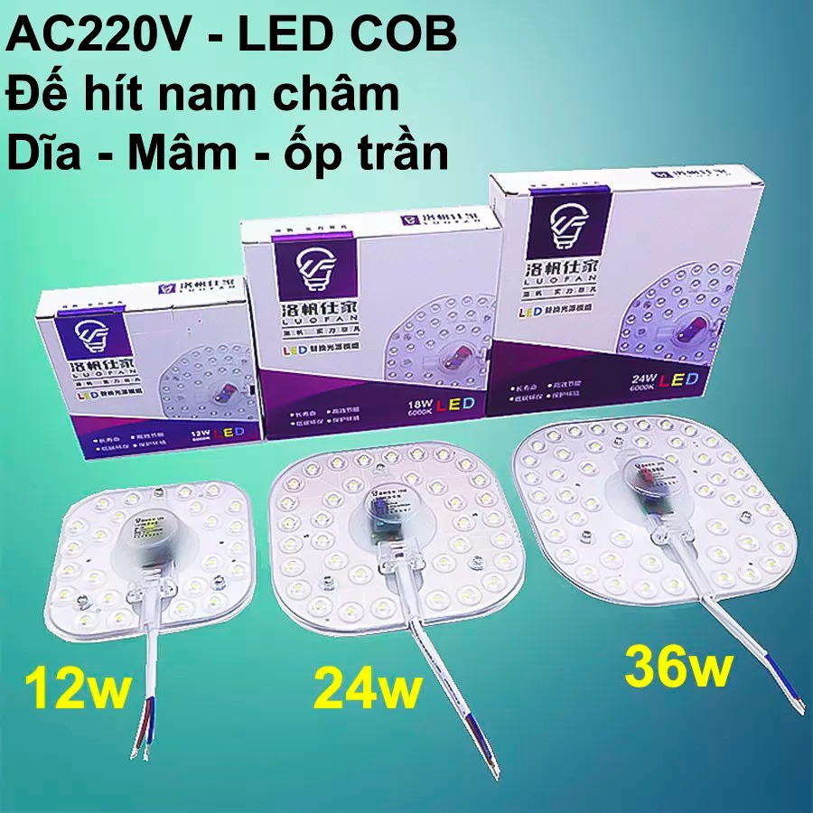Đèn đĩa 12w24w36w LUOFAN Sáng trắng - Thay thế đèn compact, ốp tường trần nhà mọi vị trí