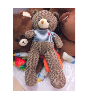 gấu tedy 1m6