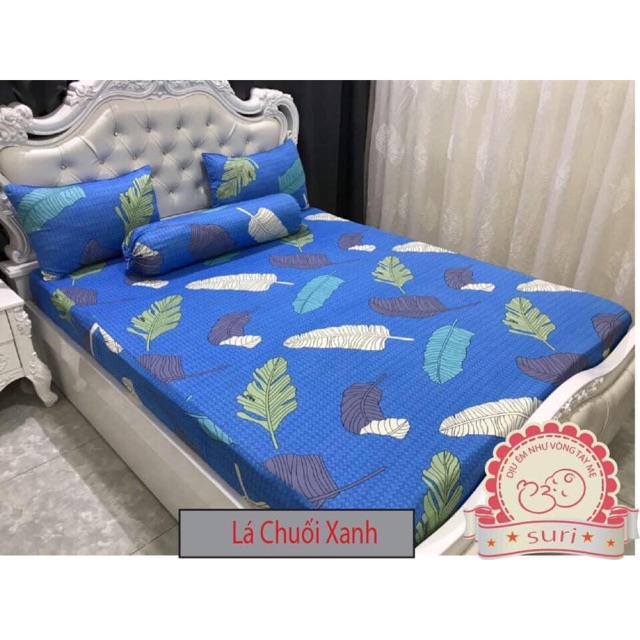 Combo 5 ga chống thấm Suri