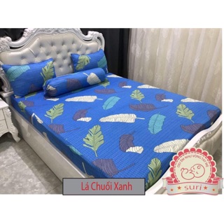 Combo 5 ga chống thấm Suri