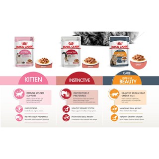 Hộp pate royal canin 12 gói 85gr