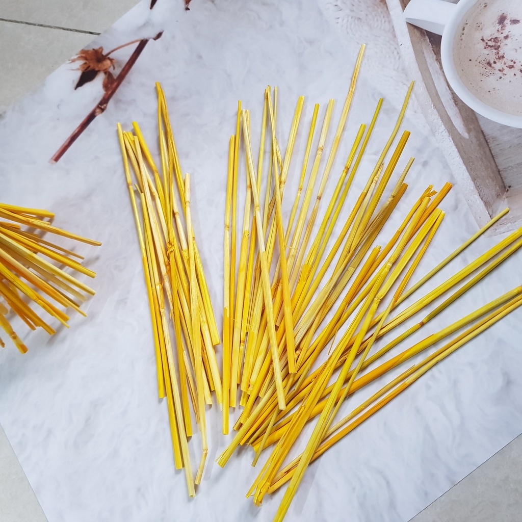 Quả/Trái thông khô nhiều size nở đều đẹp/ Lá khô tự nhiên chụp ảnh sản phẩm / bó rơm vàng