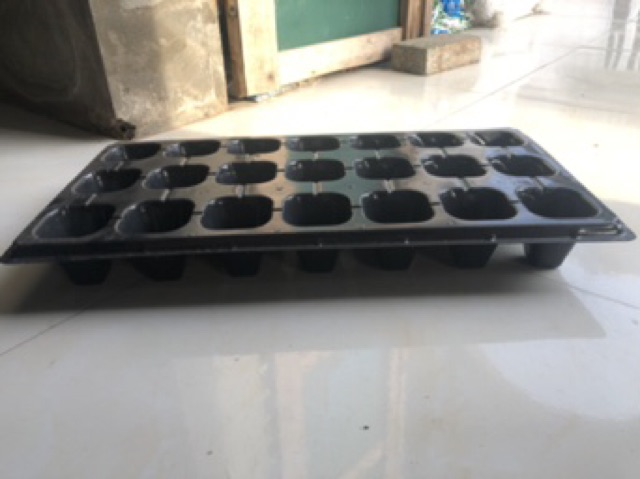 Khay vỉ ươm hạt 21 lỗ