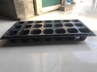 Khay vỉ ươm hạt 21 lỗ