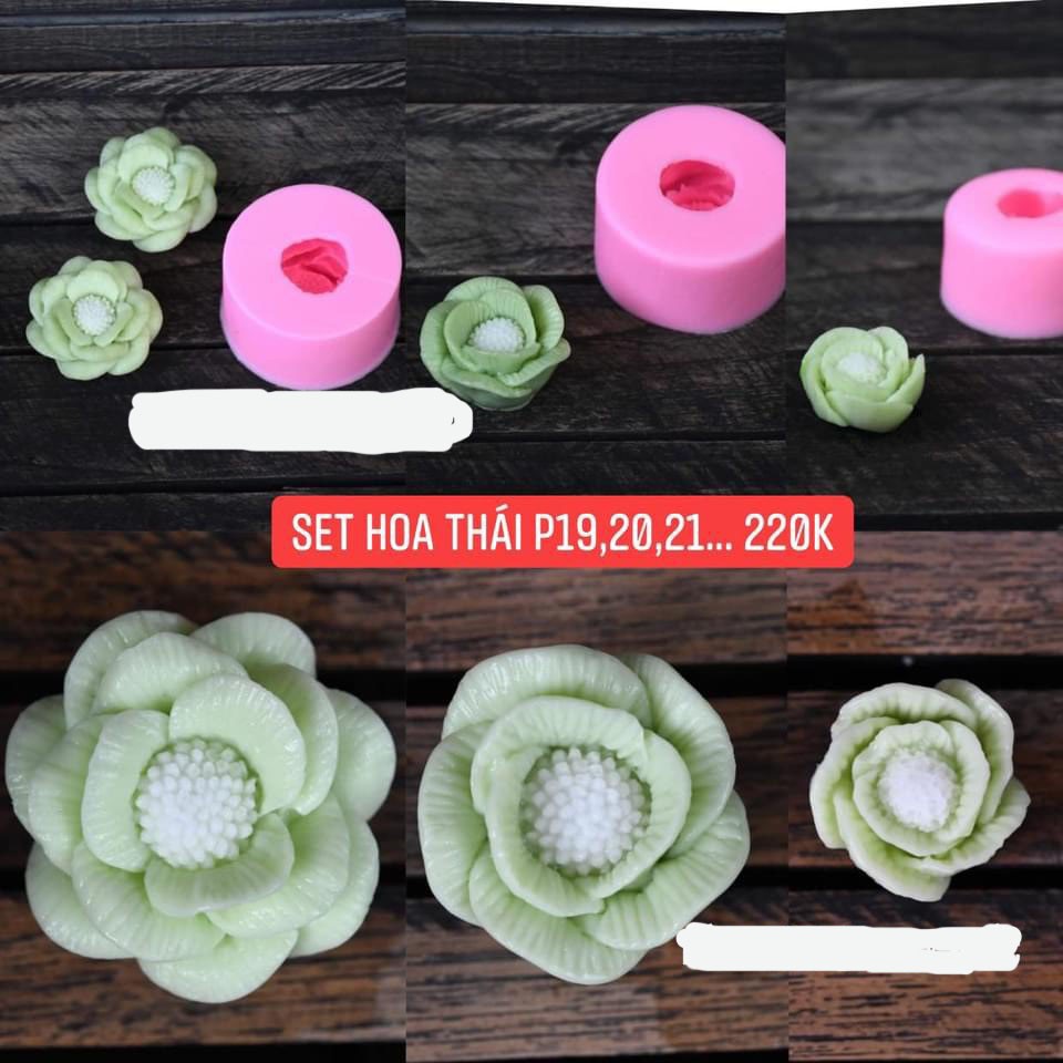 Khuôn silicon Hoa Thái có nhụy cánh tròn (3 bông P19, P20, P21) đổ bánh rau câu 3D, 4D