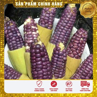 Hạt giống Ngô Nếp Tím dinh dưỡng ( gói lẻ 20 hạt)