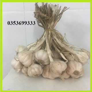 1 kg tỏi bắc thơm cay loại 1 củ to mẩy