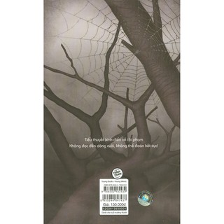 Sách - Mê Cung Nhện - Tập 1