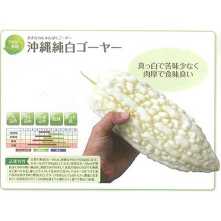 Hạt giống khổ qua bạch tuyết ( khổ qua trắng 5 hạt )