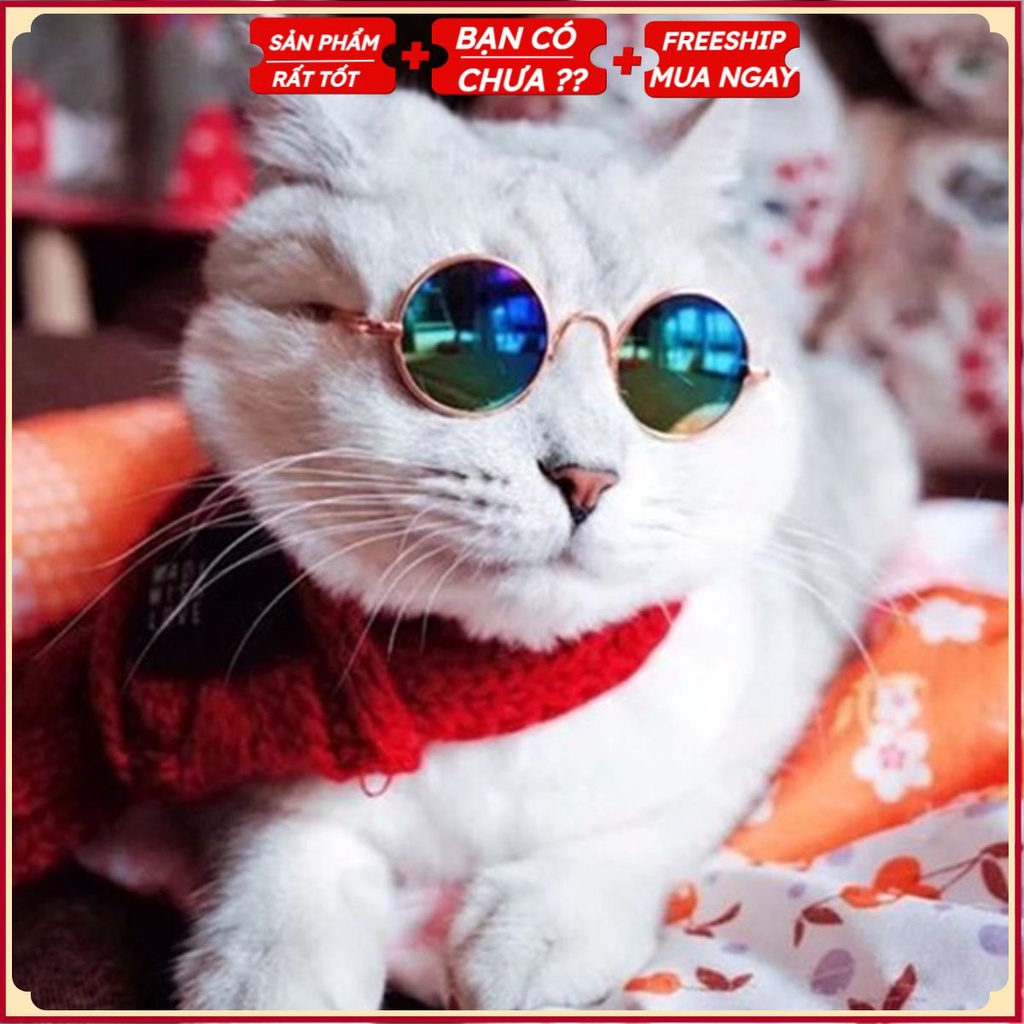 Kính Mắt Cho Thú Cưng Cá Tính (Giao Màu Ngẫu Nhiên) LTC1001