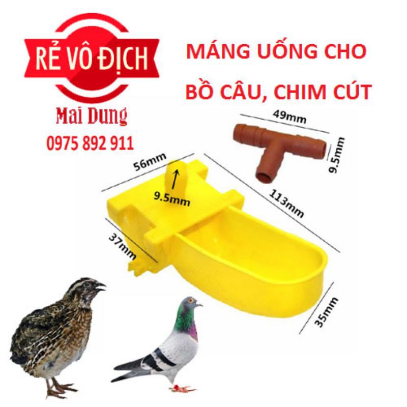 Máng uống tự động cho chim cút , bồ câu , chim kiểng