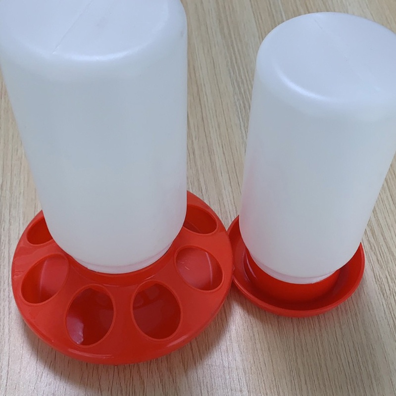 Hộp Đựng Thức Ăn/ Nước Uống Bằng Nhựa Tự Động Cho Gà Vịt/Chim Bồ Câu