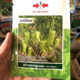 HẠT GIỐNG ỚT ĐÙI GÀ THÁI LAN