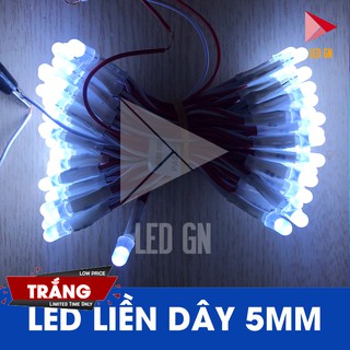LED Liền Dây 5mm - Đủ Màu - 5V DC