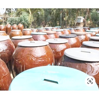 COMBO MẮM TÔM + MẮM TÉP