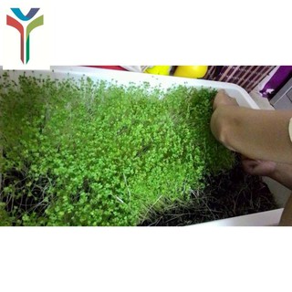 PHÂN TRÙN QUẾ NGUYÊN CHẤT TÚI 2KG
