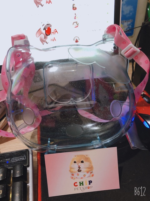 Lồng vận chuyển Kitty