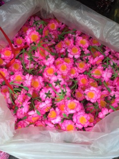 Hoa anh đào- đào chùm 1kg