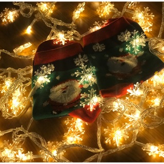 ❄ĐÈN LED BÔNG TUYẾT trang trí giáng sinh noel cực lung linh ❄️