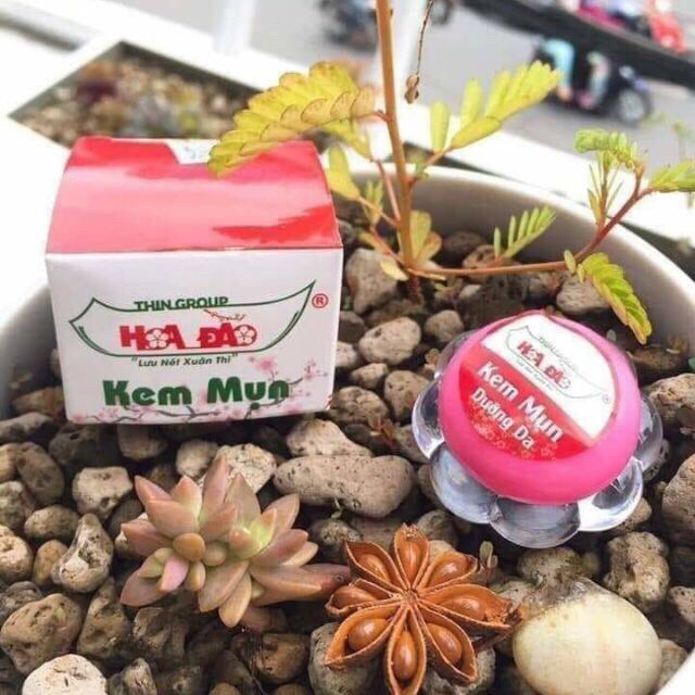 [FREESHIP] 5 Hộp Kem Mụn Dưỡng Da Hoa Đào Thingroup 8g chính hãng | BigBuy360 - bigbuy360.vn