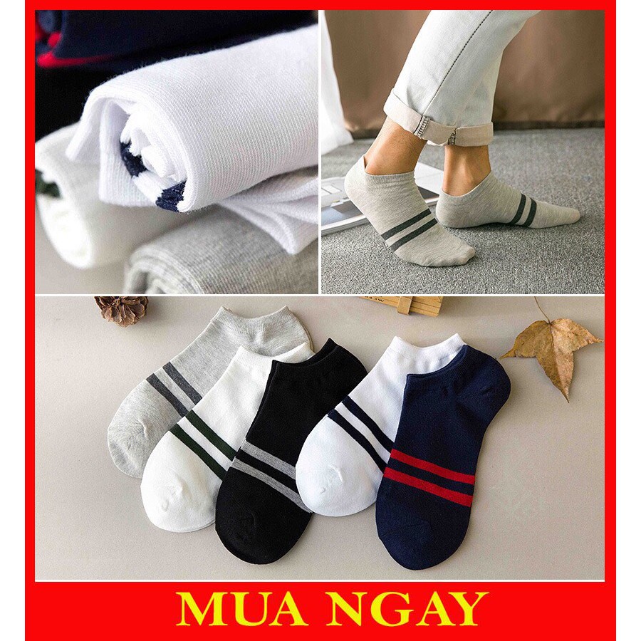 VỚ TẤT NAM NỮ NGẮN CỔ KẺ NGANG HÀN QUỐC SIÊU HOT TN06