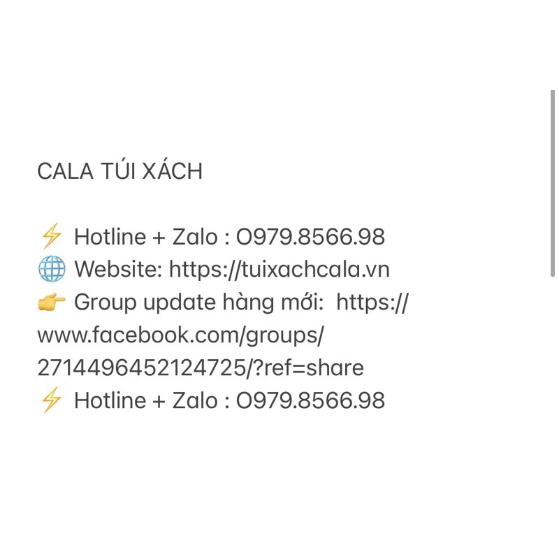 Túi công sở birkin