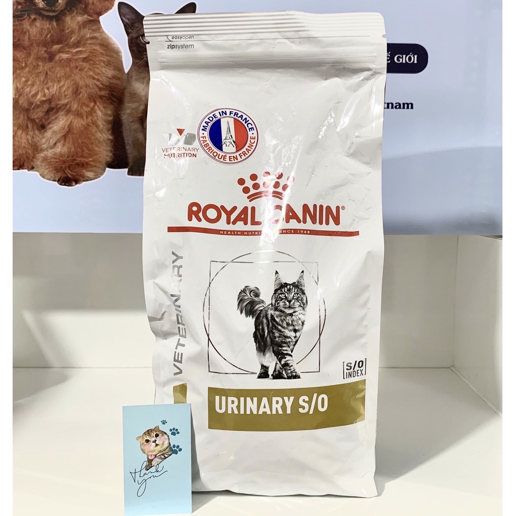 Hạt Royal Canin Cho Mèo - Hạt Cho Mèo