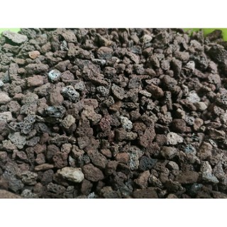 Nham thạch cỡ nhỏ 1kg