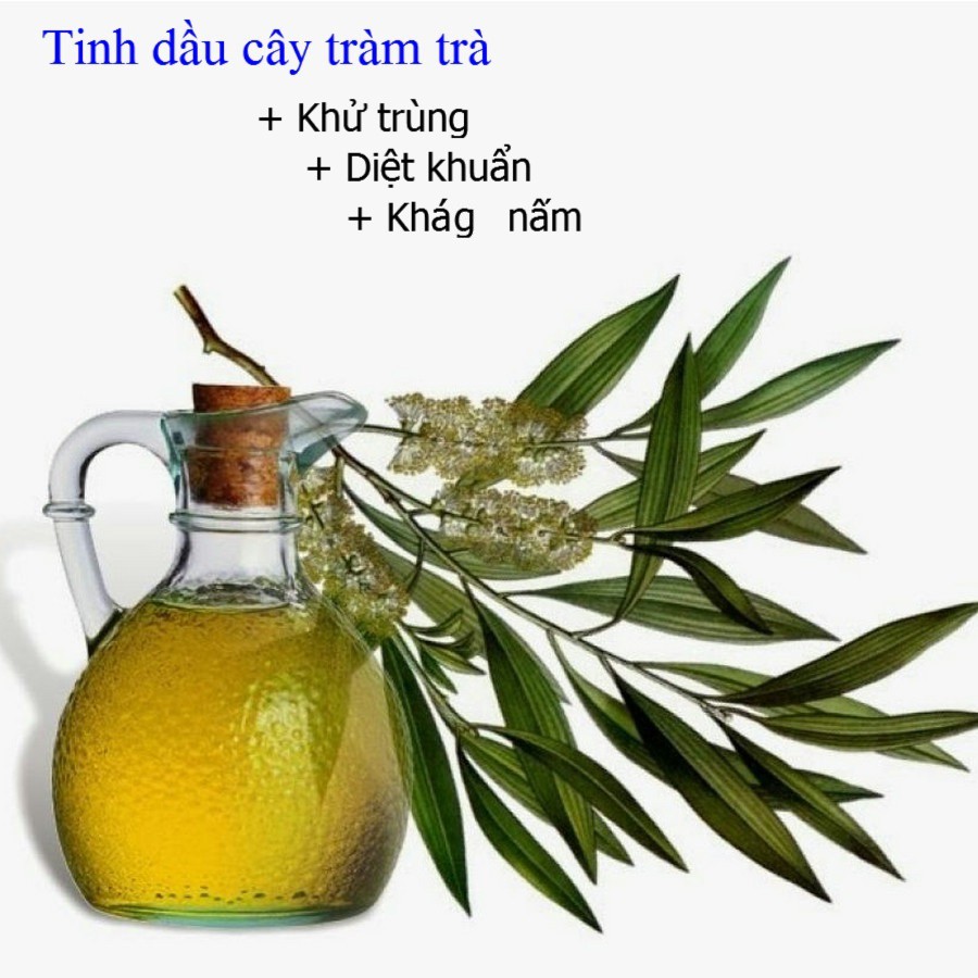 Dung Dịch Vệ Sinh Phụ Nữ Giúp Khág Khuẩn, Cân Bằng Độ pH Vùng Kín Zelenaya Apteka Cây Trà 370ml