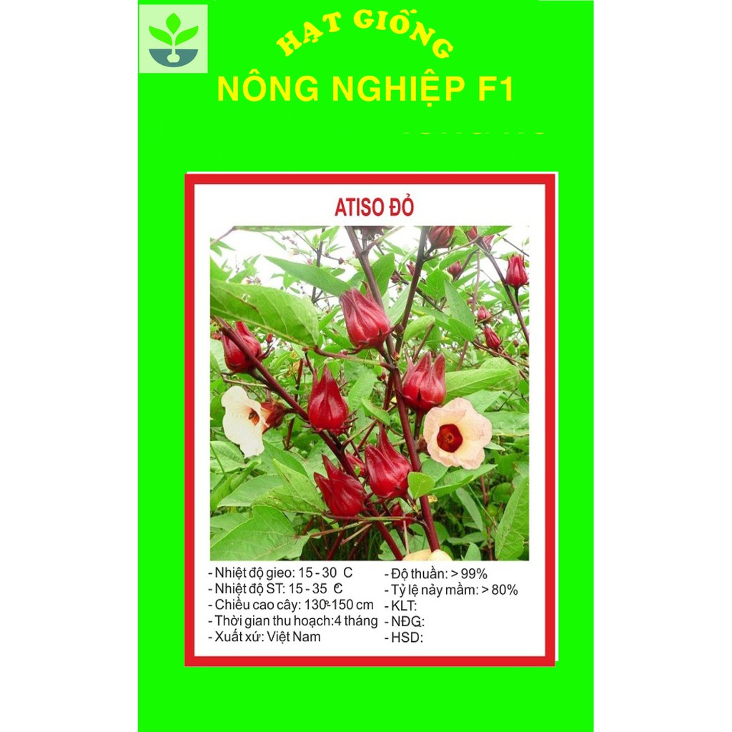 gói 20 hạt giống atiso đỏ
