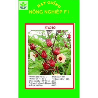 gói 20 hạt giống atiso đỏ