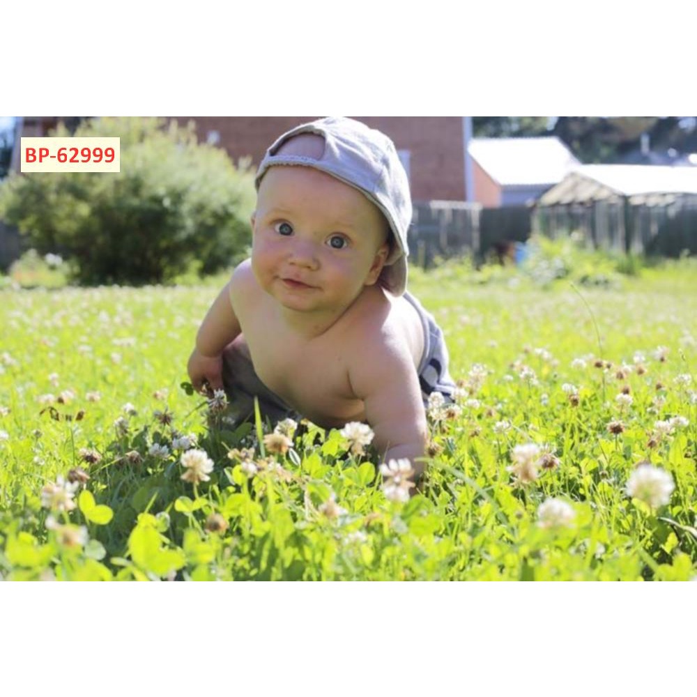 Tranh 3D Dán Tường Phòng Trẻ Em Nhiều Chủ Đề