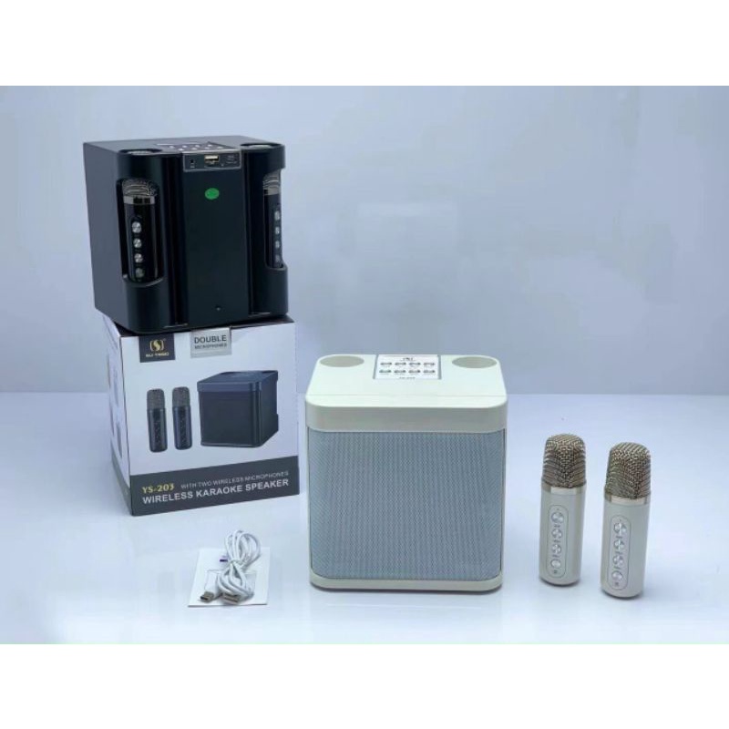 Loa Karaoke Bluetooth YS-203